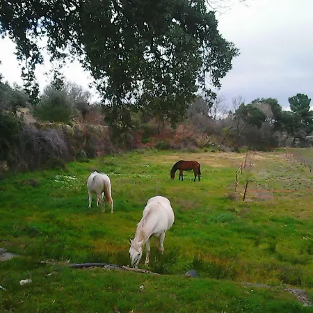 Guest house Quinta Do Ervedal- *
