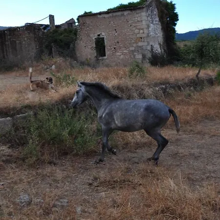 Quinta Do Ervedal- Guest house Castelo Novo