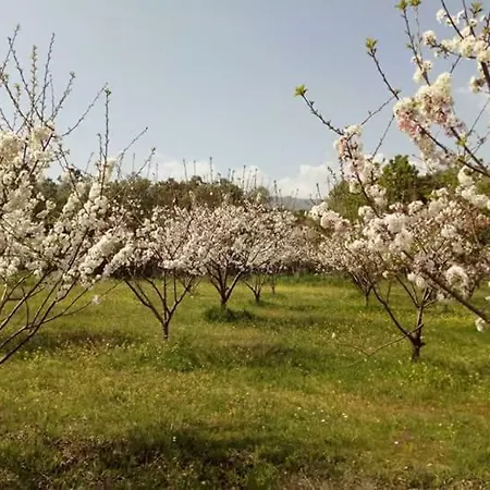 Quinta Do Ervedal Castelo Novo