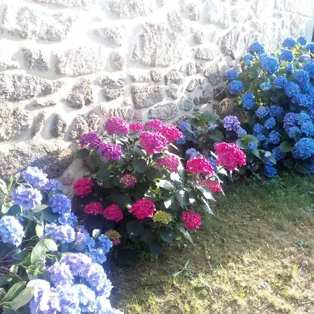 Quinta Do Ervedal- Guest house Castelo Novo