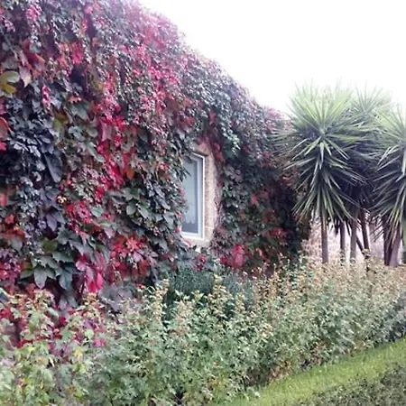Quinta Do Ervedal- *