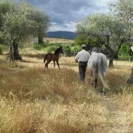 Quinta Do Ervedal- Castelo Novo